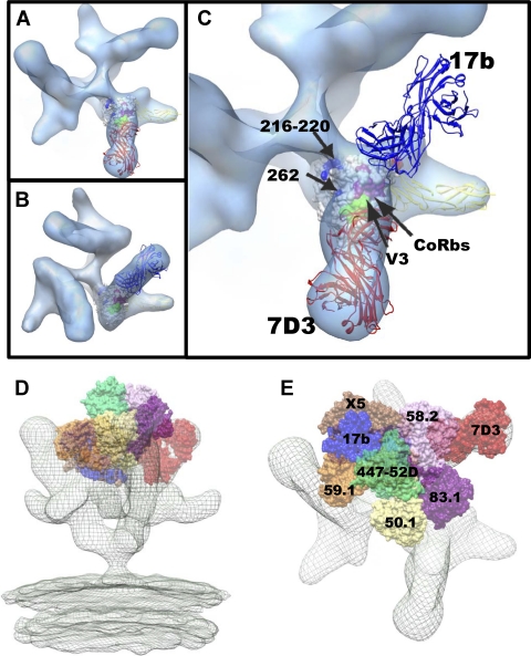 Fig. 6.