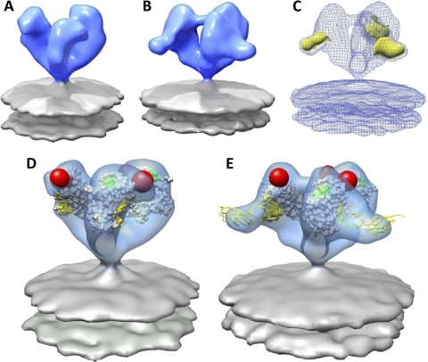 Fig. 4.