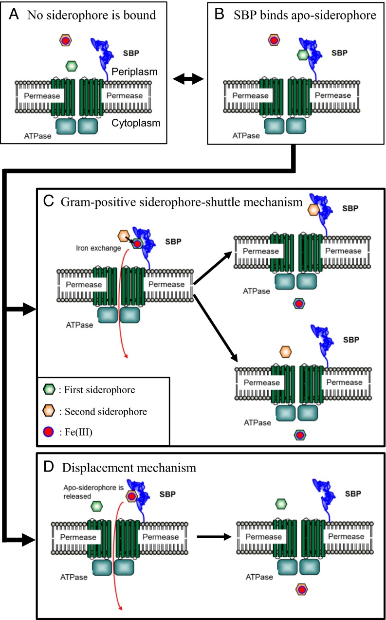 Fig. 2.