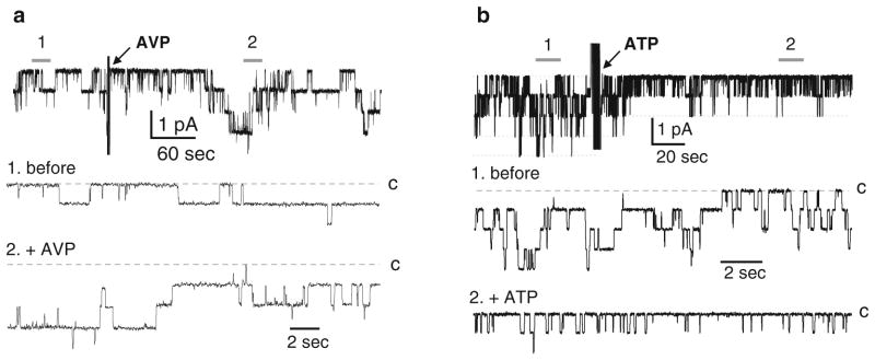 Fig. 4