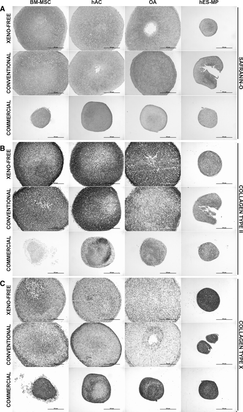 Fig. 3