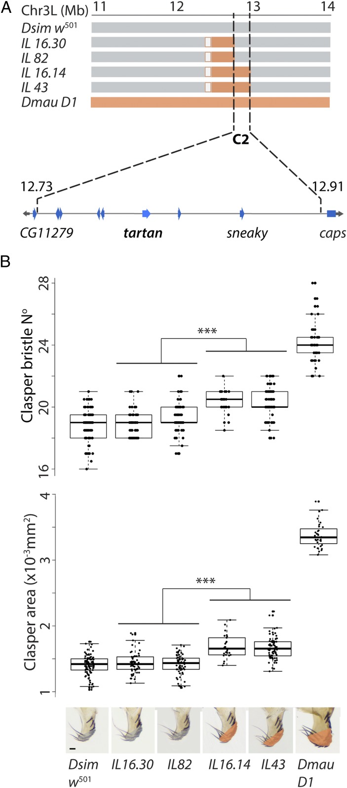 Fig. 2.