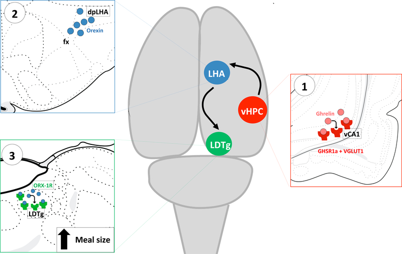 Figure 6.