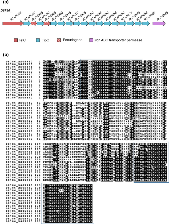 Fig. 6.