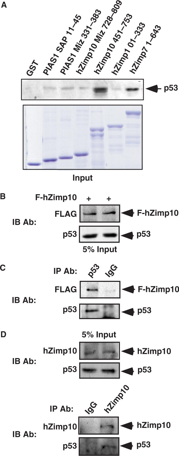 Figure 2.