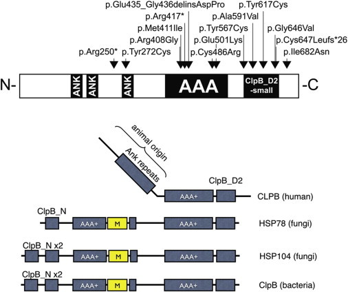 Figure 3