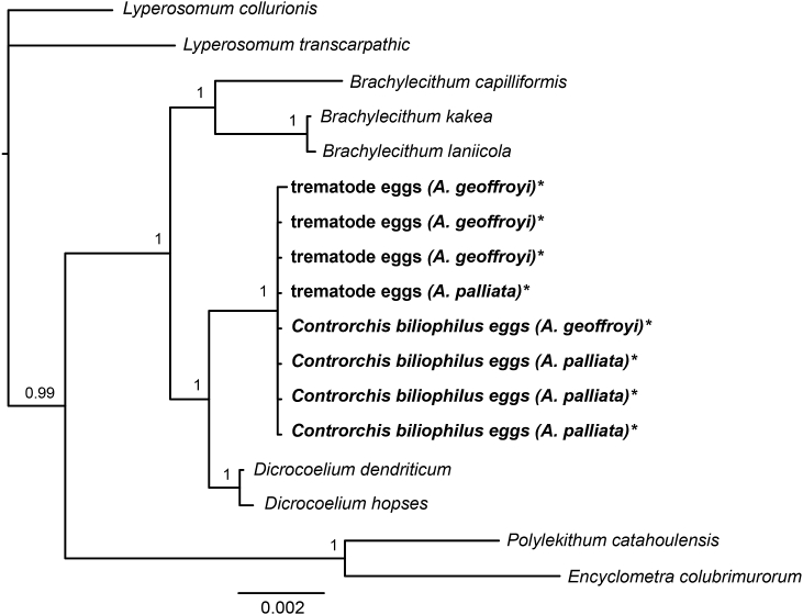 Fig. 4