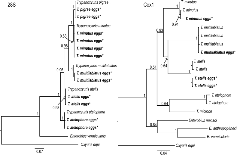 Fig. 3