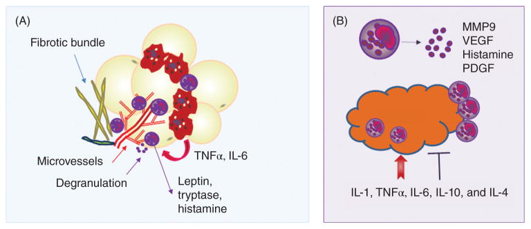 Figure 21