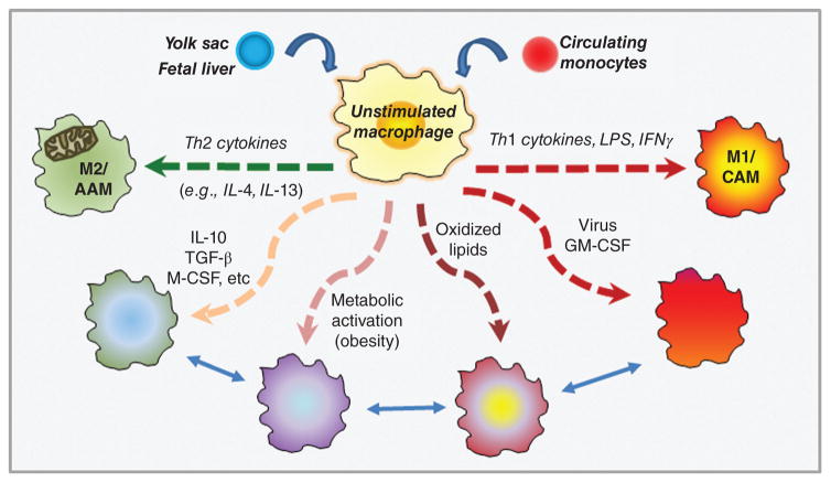 Figure 18