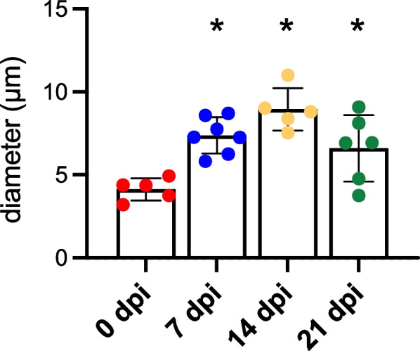 Fig. 4