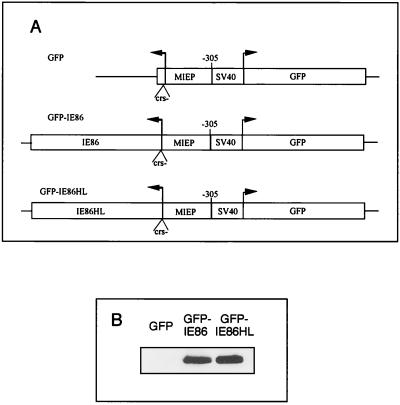 FIG. 6