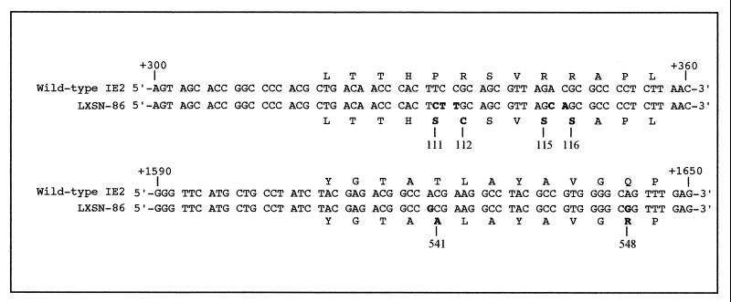 FIG. 8