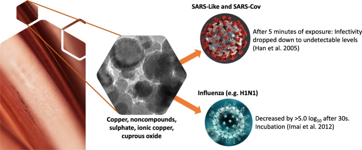 Unlabelled Image