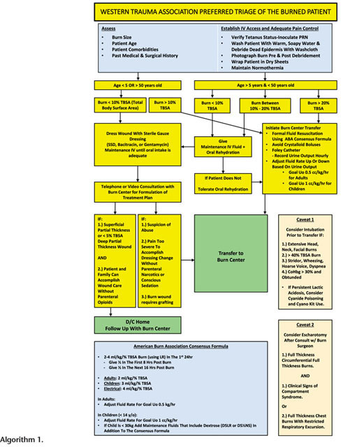 graphic file with name nihms-1680530-f0004.jpg