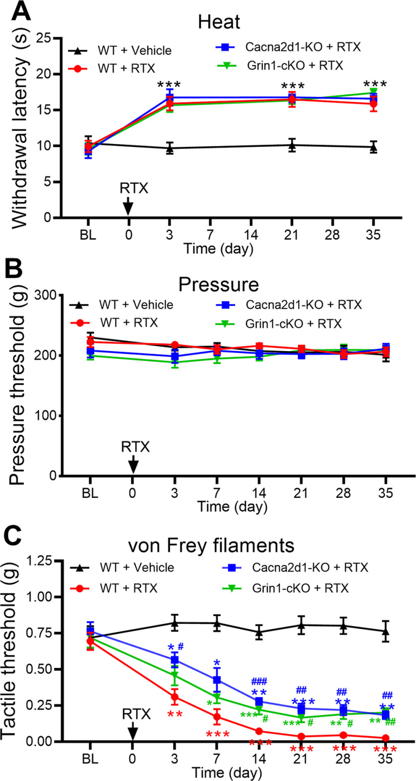 Figure 10.