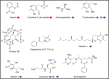 Fig. 7