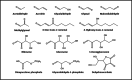 Fig. 5