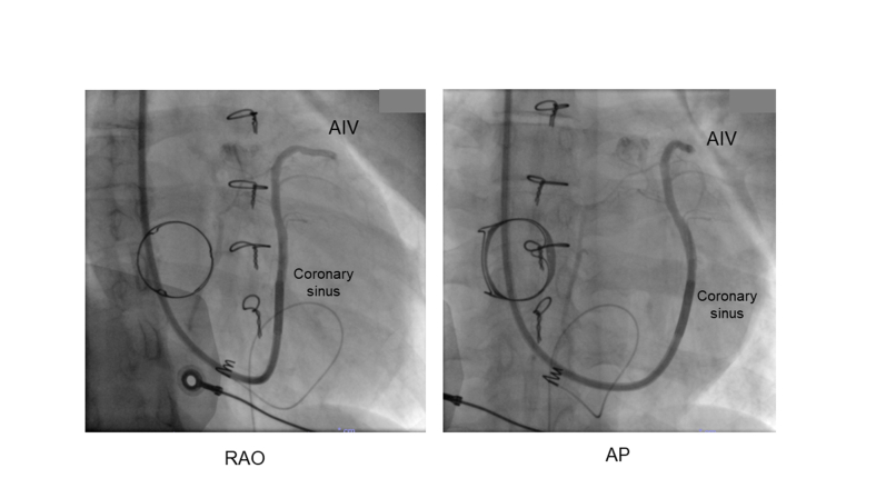 Supplemental Figure 3