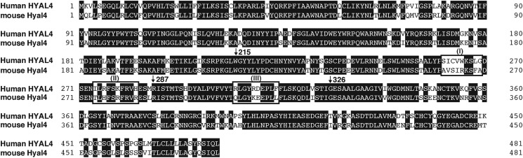 FIGURE 4.