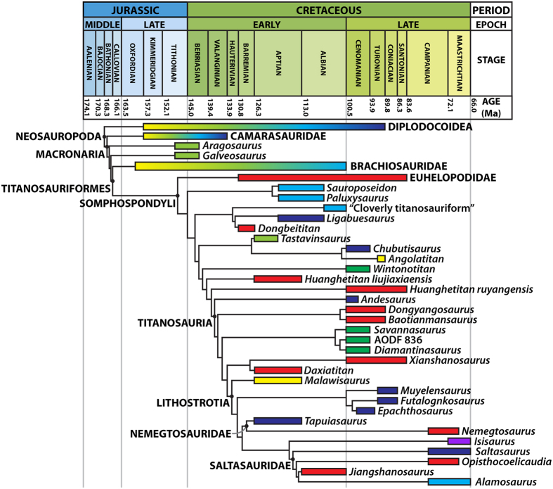 Figure 7