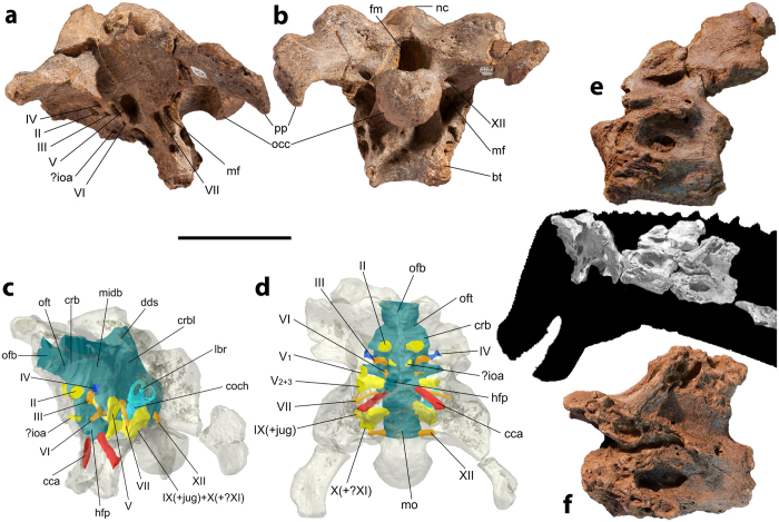 Figure 5