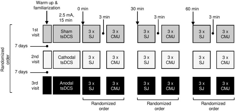 FIGURE 1