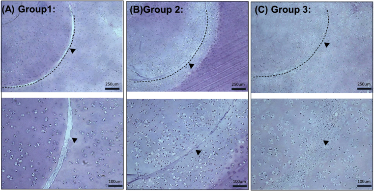 Fig. 4