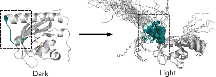 Extended Data Fig. 6