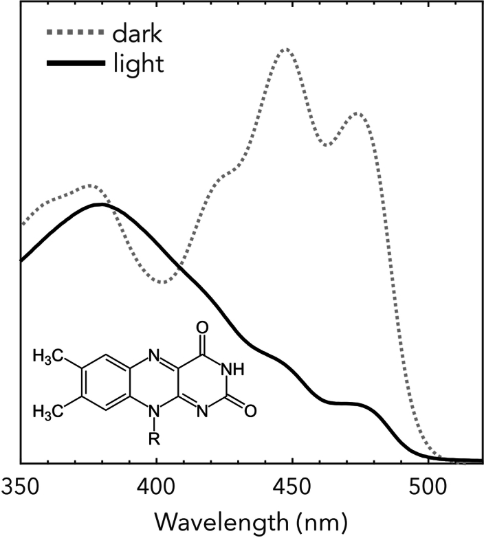 Extended Data Fig. 1