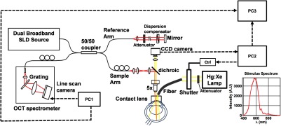 Fig. 1