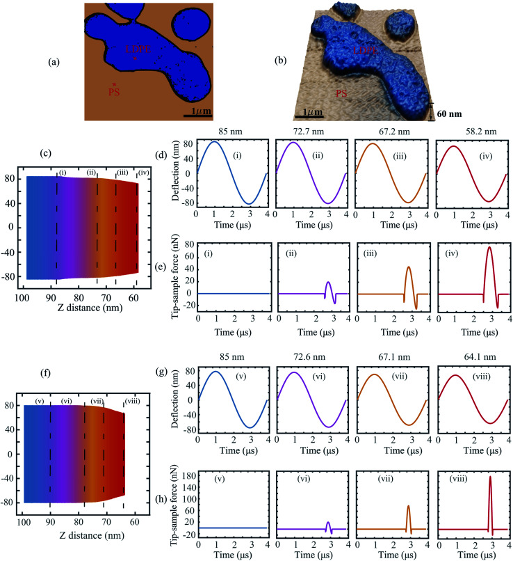 Fig. 4