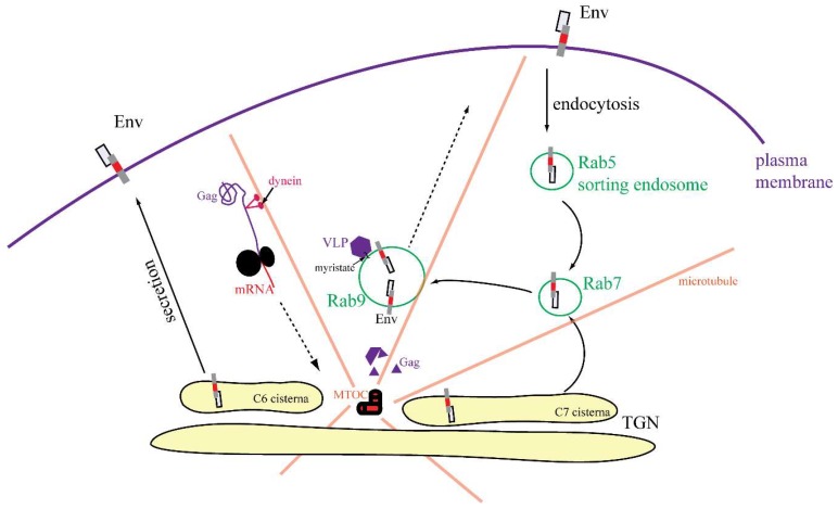 Figure 11