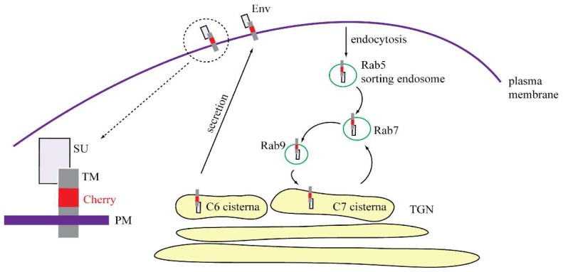 Figure 10