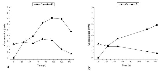 Fig.7