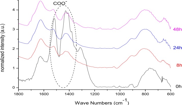 Figure 17.