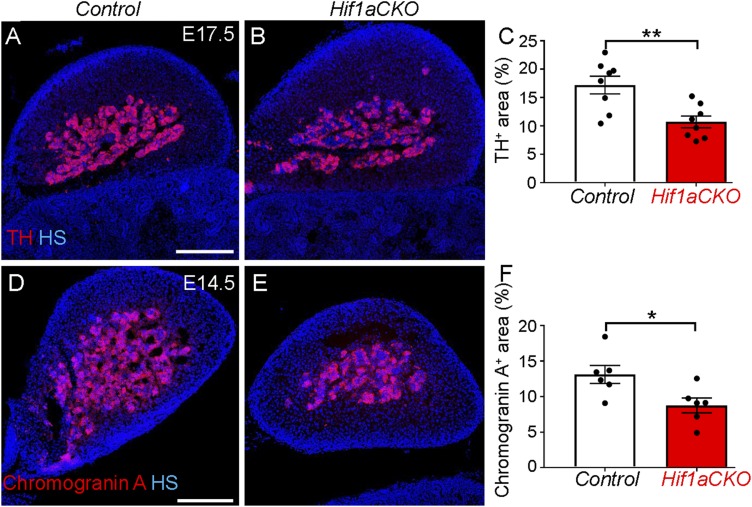 Fig. 9.