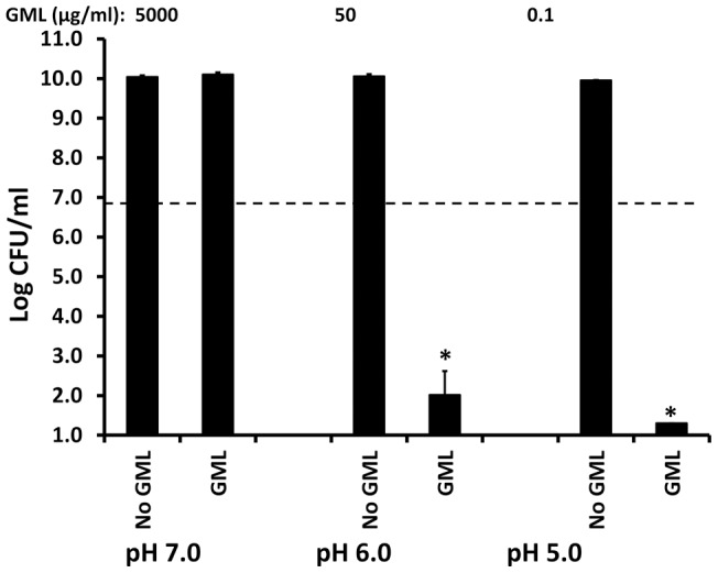 Figure 12