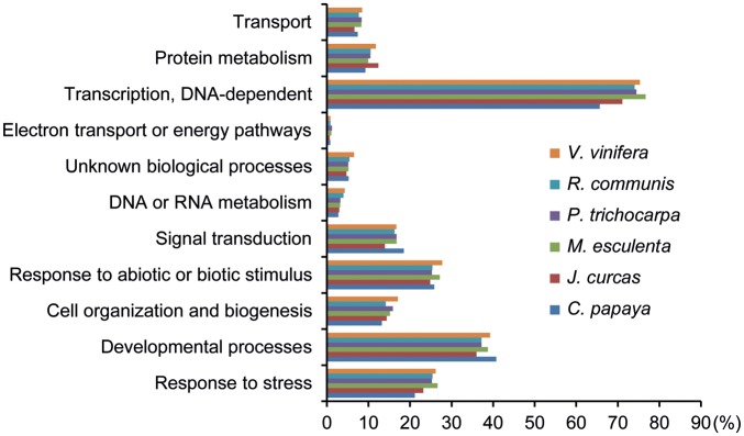 Figure 2.