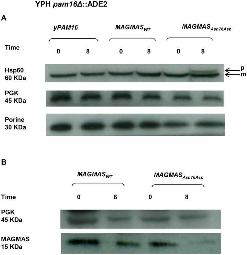 Figure 7