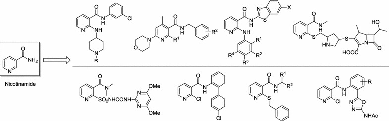Fig. 1