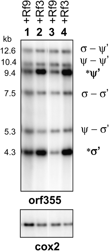 Figure 2.—