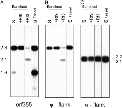 Figure 4.—