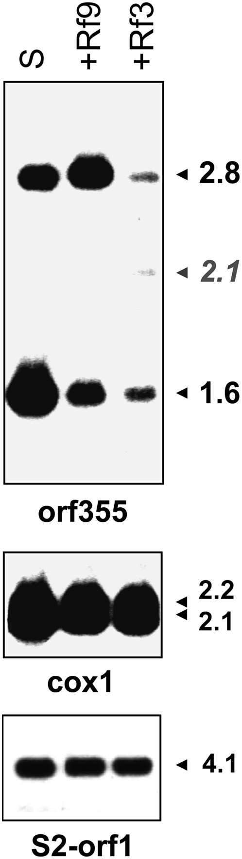 Figure 3.—