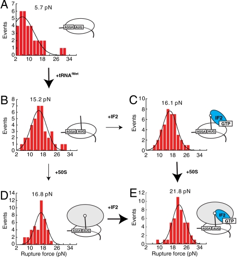 Fig. 2.