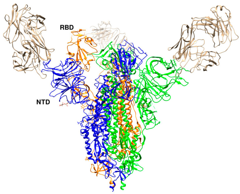 Figure 10