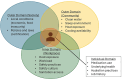 Three overlapping circles with an individual in the middle. Top left circle shows outer domain, society. Top right circle shows outer domain, community. Bottom circle shows inner domain, workplace. Line from individual to box showing individual domain