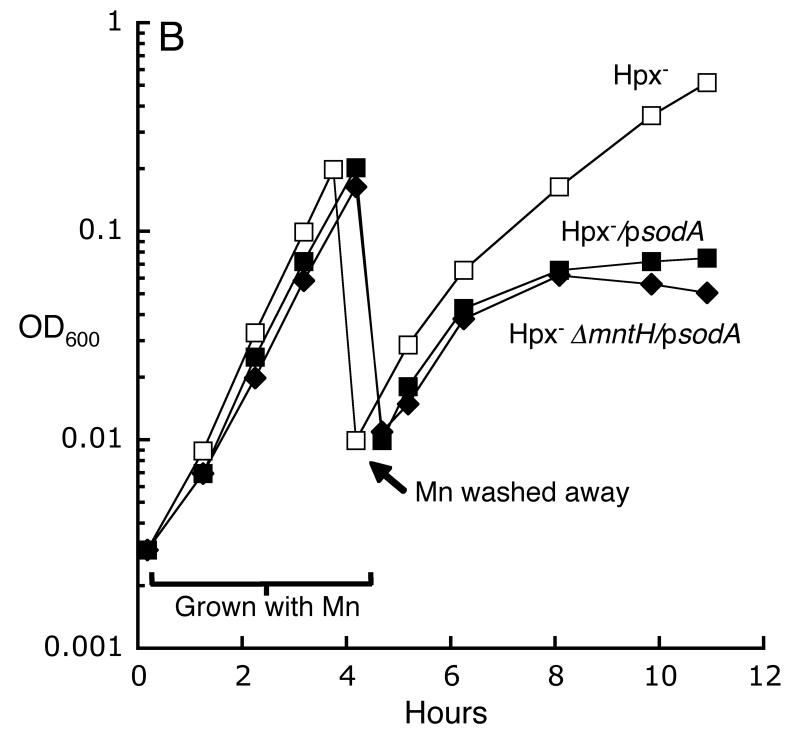 Fig 6