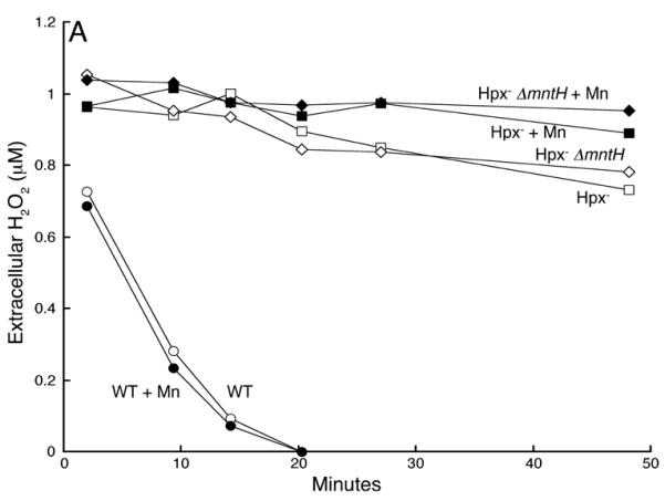 Fig 5