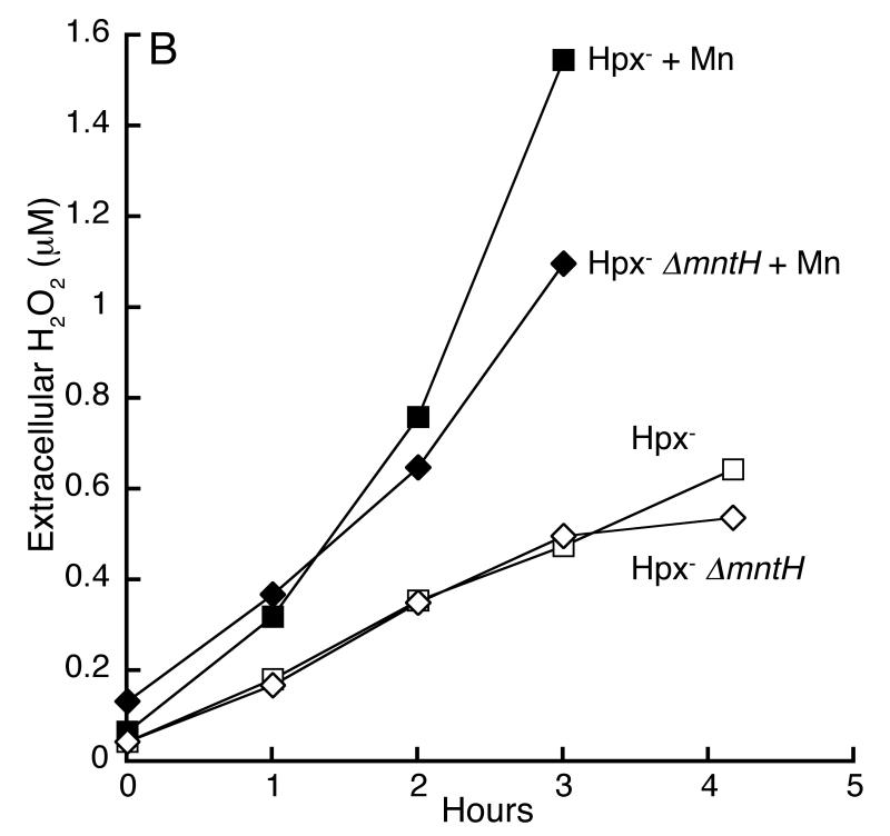 Fig 5